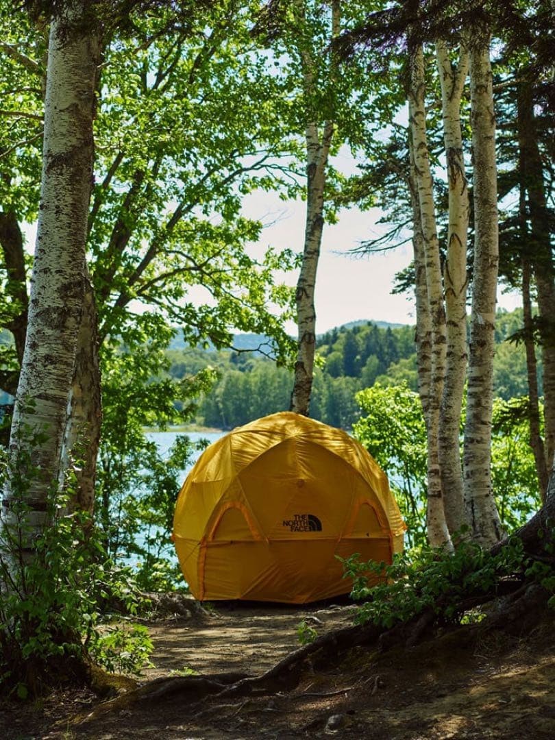 THE NORTH FACE Geodome 4 Tent Outdoor Camp Gear Saffron Yellow Color NV22311 NEW10