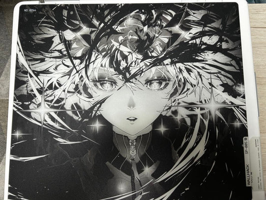 wallhack limited edition: awakening sora mousepad wallhack Excellent USED1