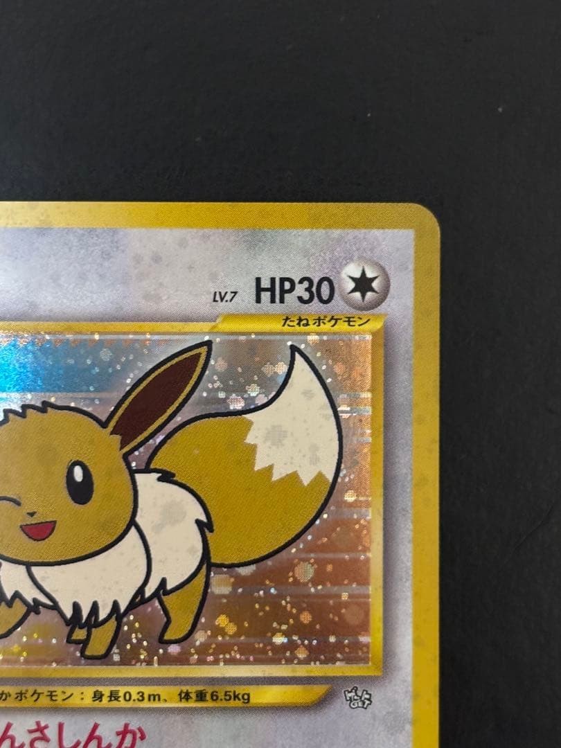 Eevee Fan Club Promo Old Back Vintage Pokemon Card Japanese Rare HP30 No.1338