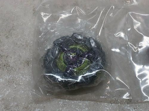 BEYBLADE X Orochi Cluster 6-60LF CoroCoro Comic Executive 20253