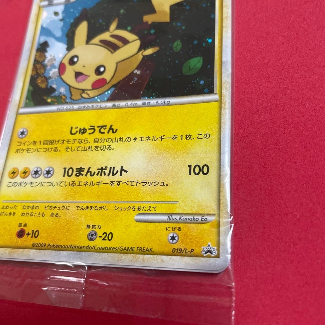 Pokemon 2009 Pikachu Holo 019/L-P Gold Rank Energy 014 Promo Set Japanese Sealed5