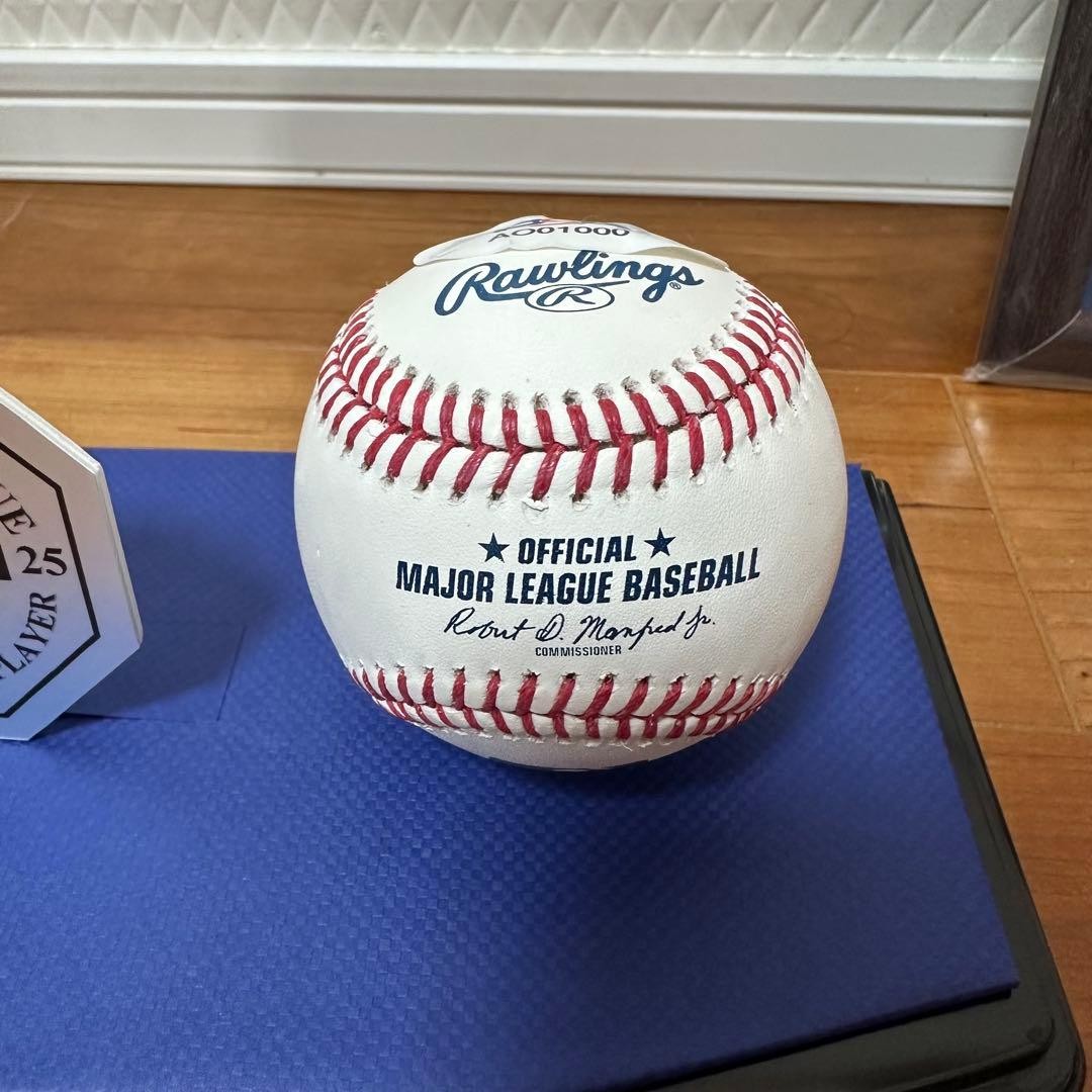 Shohei Ohtani Autographed Official MLB Rawlings Baseball PSA DNA COA #AO010005