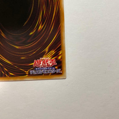 Black Luster Soldier Light and Darkness CORI-JP028 Over Flame Prismatic Japanese10