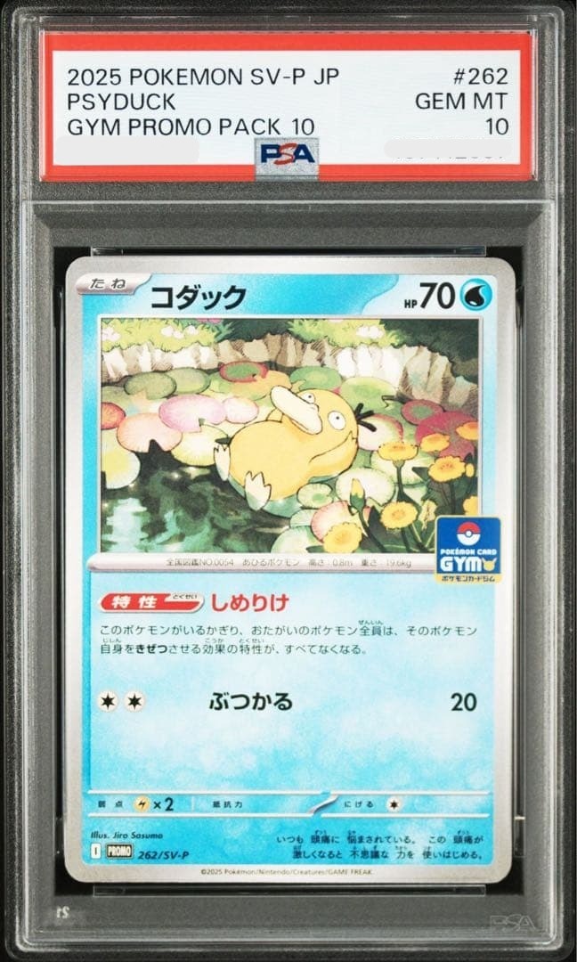 PSA 10 Psyduck 262/SVP Gym Campaign Pack 10 Japanese Promo Pokemon0