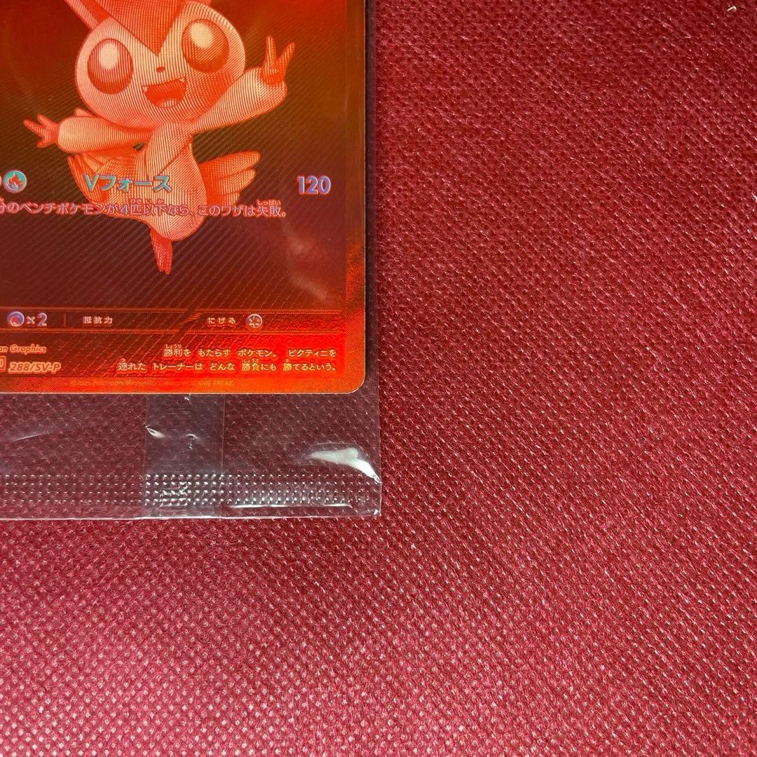 Victini BWR 288/SVP Competition Top Prize 2025 Pokemon Card Japanese Sealed6