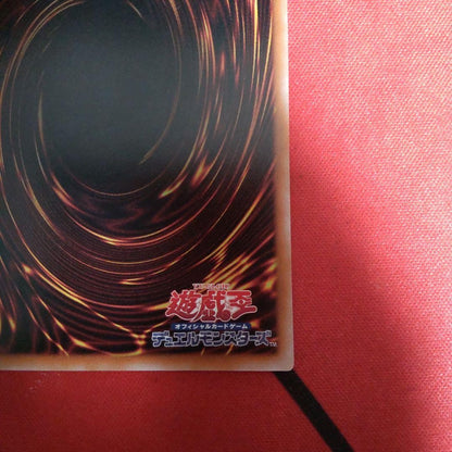 Dark Magician Girl the Magician's Apprentice ALINJP004 Quarter Century Secret9
