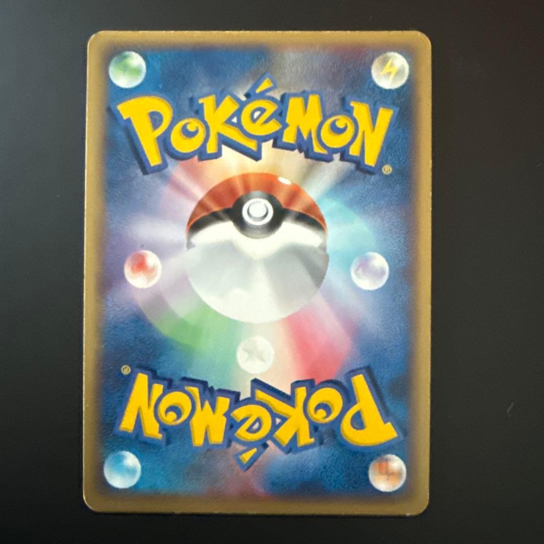 Pokemon TCG Japanese 2005 PokePark Premium File Forest & Blue Sheet 1818