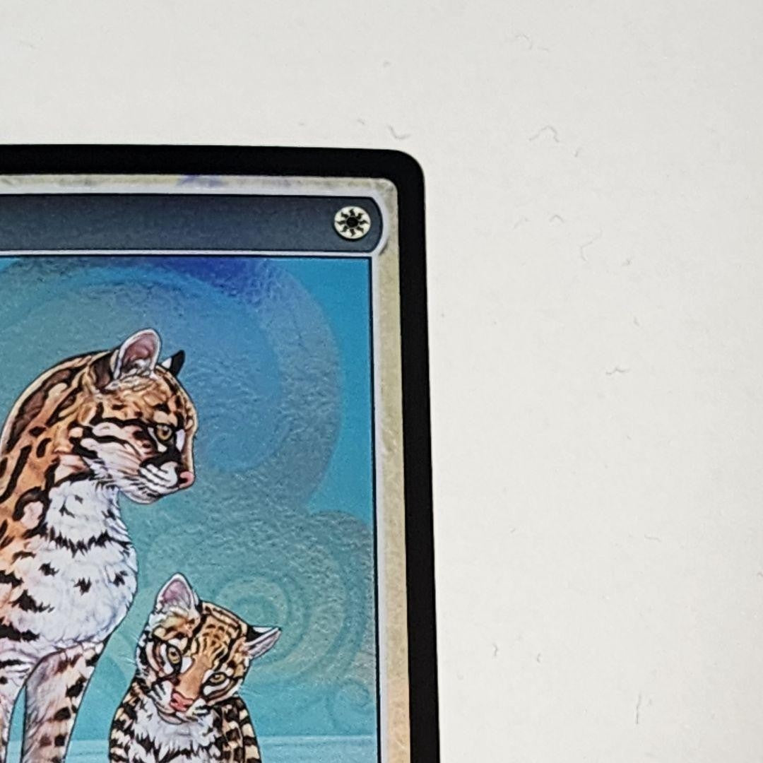 Ocelot Pride Textless Japanese MTG Store Champion Promo Foil3