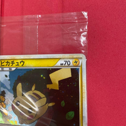 Pokemon 2009 Pikachu Holo 019/L-P Gold Rank Energy 014 Promo Set Japanese Sealed3