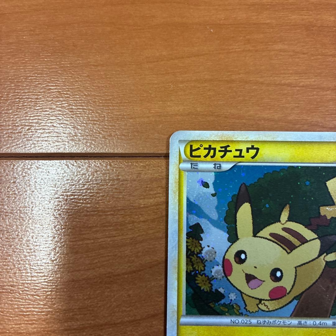 Pikachu Daisuki Club Gold Point 019/L-P Promo Japanese Pokemon Card [MP]1