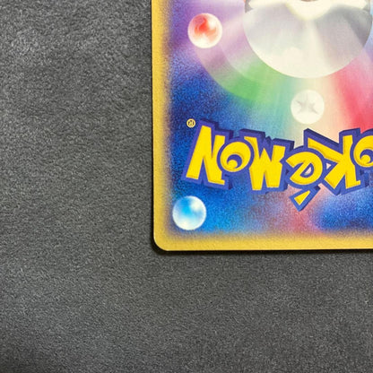 Forina's Absol 040/ADV-P Promo Pokemon Promotional cards Regular LP8