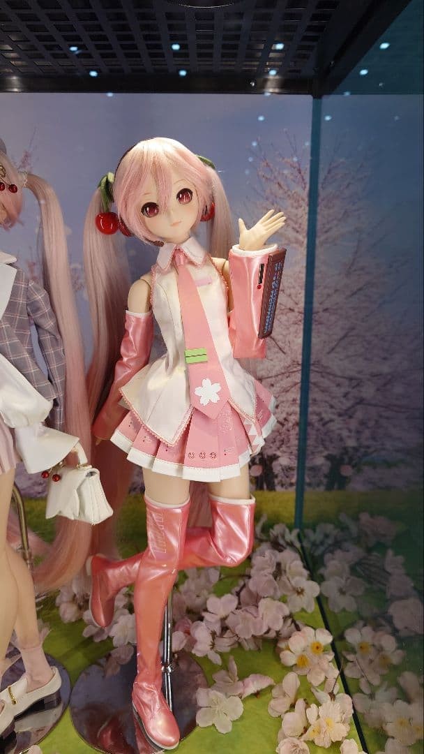 Volks DD Sakura Miku Ver.2.0 Hatsune Dollfie Dream PVC ABS Doll Vocaloid NEW1