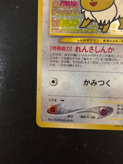 Eevee Fan Club Promo Old Back Vintage Pokemon Card Japanese Rare HP30 No.13310