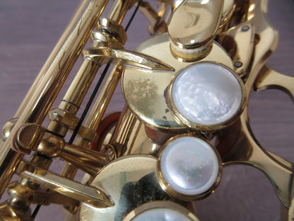Yanagisawa Alto Saxophone A-901II #00252726 with Hardcase USED12