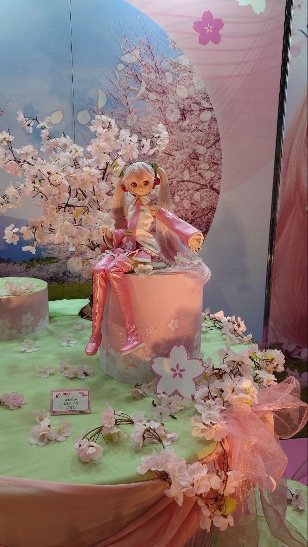 Volks DD Sakura Miku Ver.2.0 Hatsune Dollfie Dream PVC ABS Doll Vocaloid NEW3
