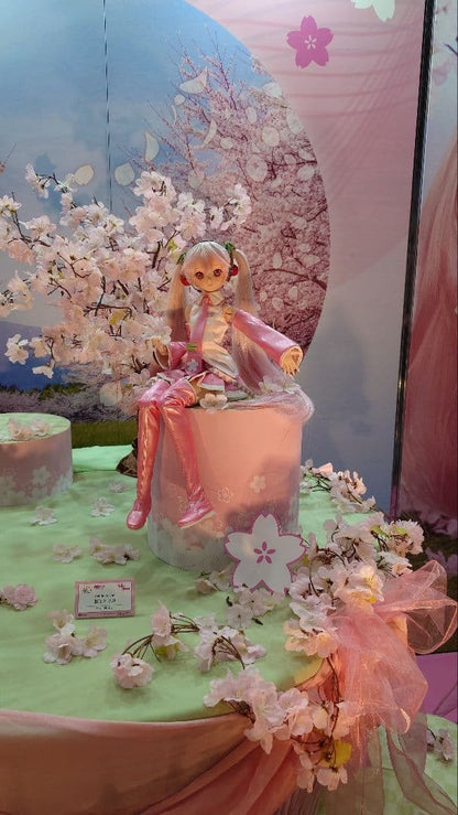 Volks DD Sakura Miku Ver.2.0 Hatsune Dollfie Dream PVC ABS Doll Vocaloid NEW3