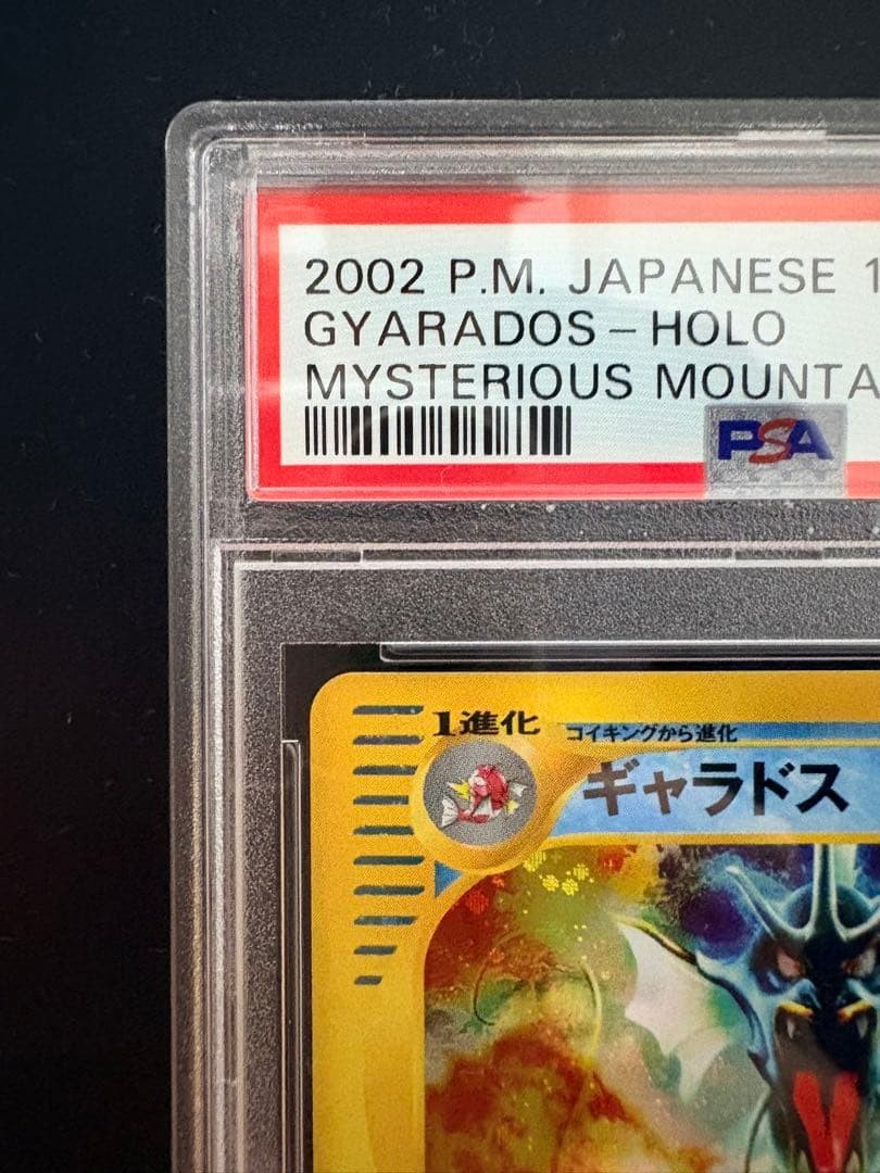 PSA9 Pokemon Japanese Mysterious Mountains Gyarados #028 1st Ed Skyridge 20022