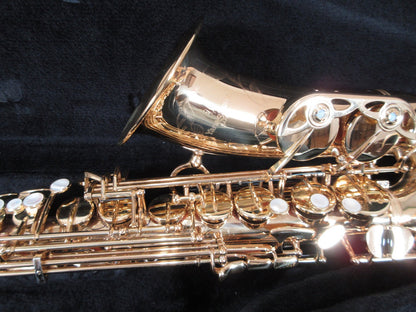 Yanagisawa Alto Saxophone A-901II #00252726 with Hardcase USED2