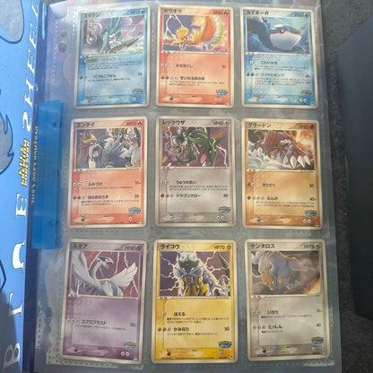 Pokemon TCG Japanese 2005 PokePark Premium File Forest & Blue Sheet 184