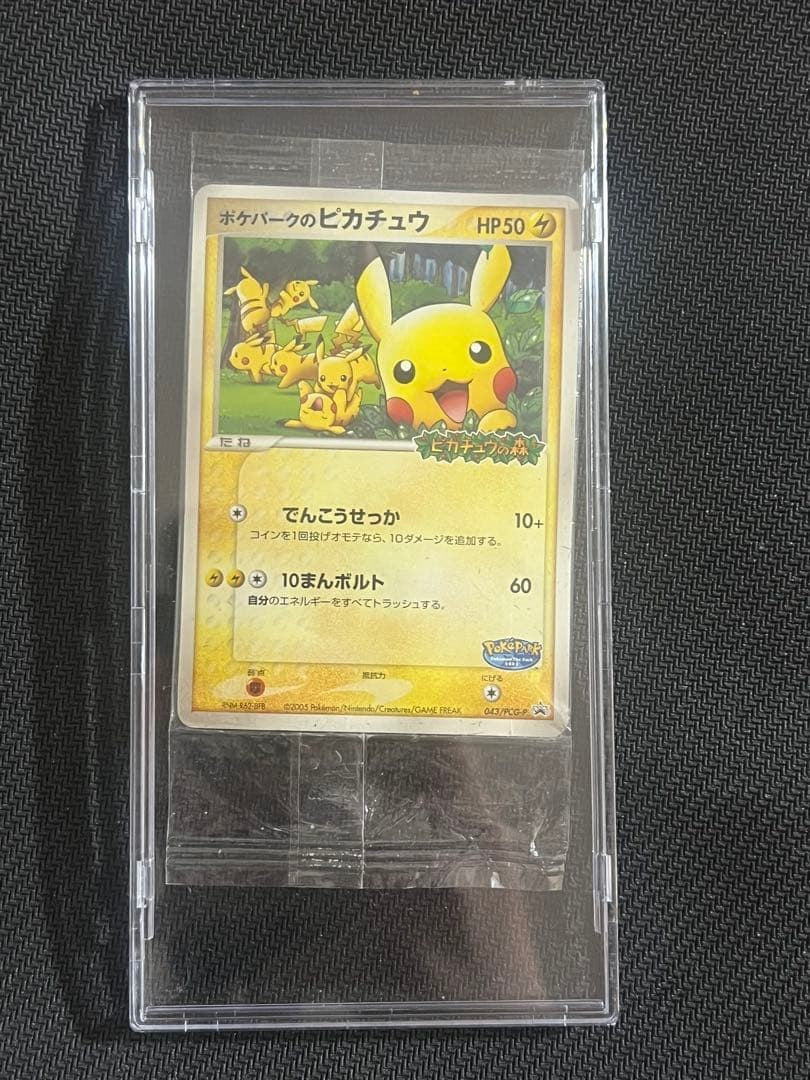 [Sealed] Pokepark's Pikachu 043/PCG-P Japanese Promo 2005 Pokemon Card0