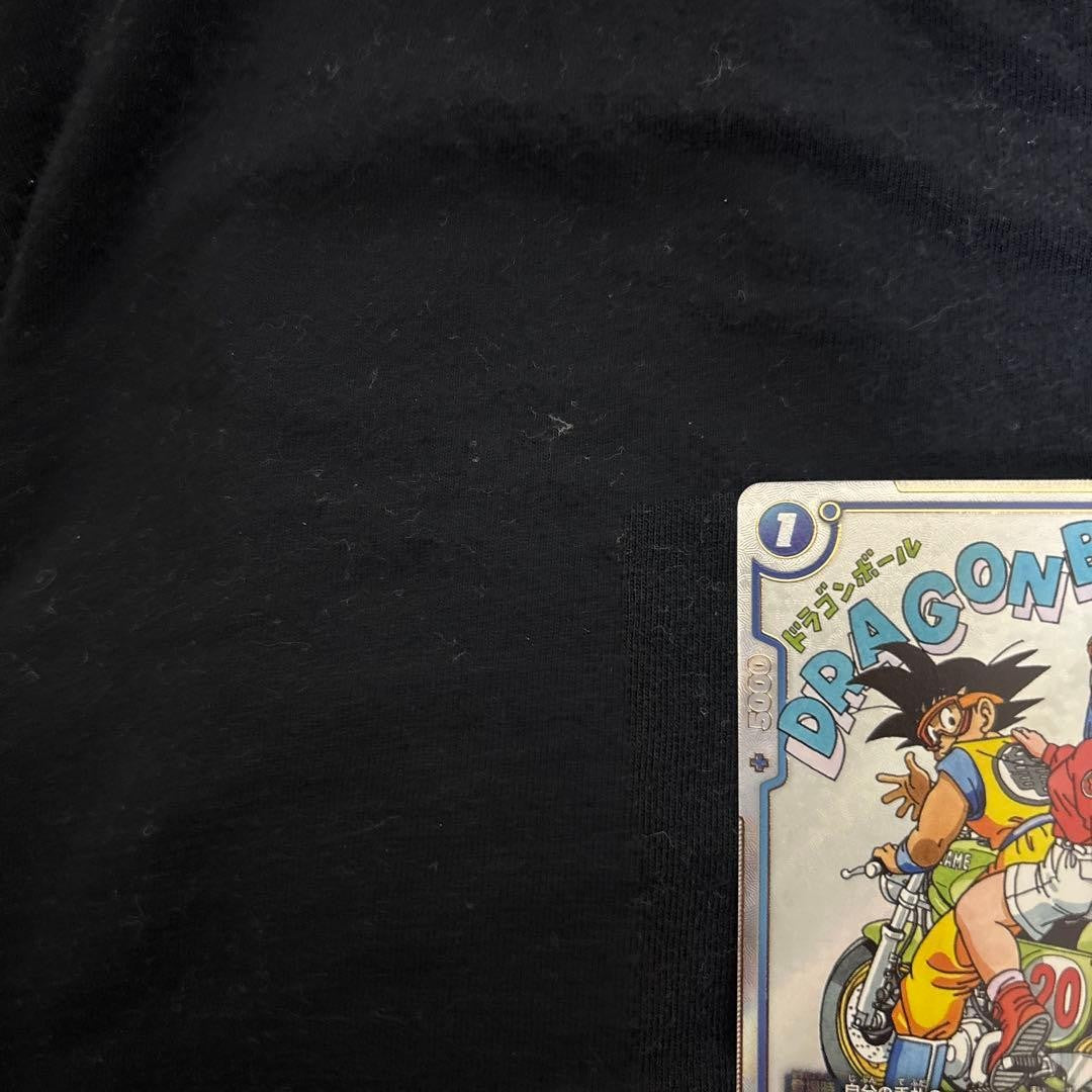 Dragon Ball Fusion World Chi-Chi (Alt Art) SB01-019 R Manga Booster 01 Japanese4