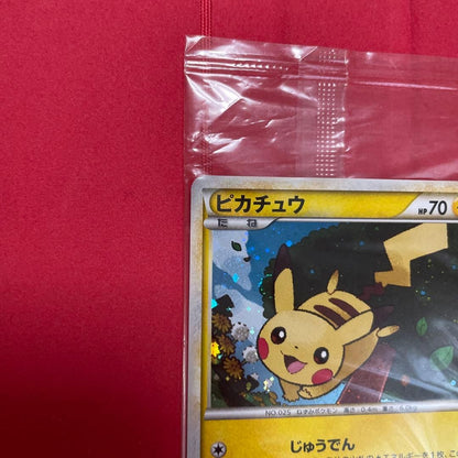 Pokemon 2009 Pikachu Holo 019/L-P Gold Rank Energy 014 Promo Set Japanese Sealed2