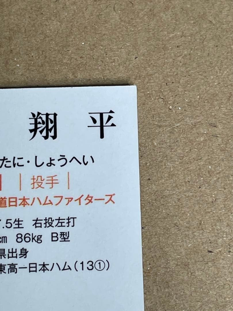 Shohei Ohtani 2013 BBM 2nd Version RC Gold Foil Auto Signed Japan Rookie Card12
