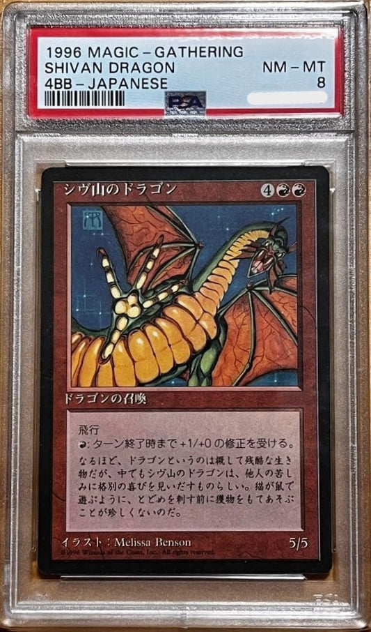 PSA8 MTG FBB Japanese Shivan Dragon Foreign Black Border 4th Edition GEM MINT1