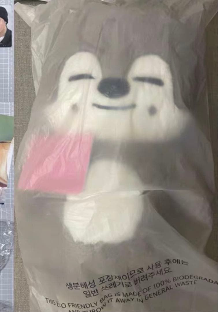 Stray Kids SKZOO WolfChan Official Plush Doll 23.6" 60cm Teddy Ver. KPOP New0
