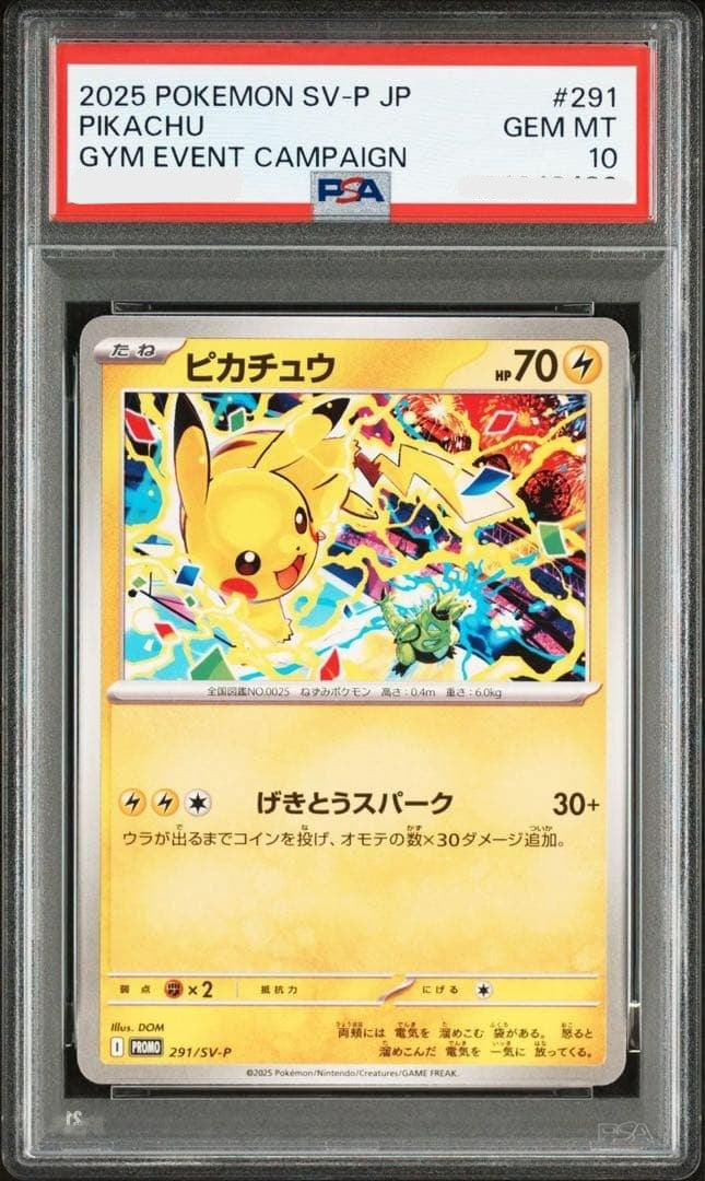 PSA 10 Pokemon Card Pikachu Gym EVENT Promo 291 Japanese from
